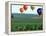 Colorful Hot Air Balloons Float over a Wheat Field in Walla Walla, Washington, USA-William Sutton-Framed Premier Image Canvas