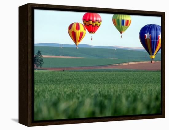 Colorful Hot Air Balloons Float over a Wheat Field in Walla Walla, Washington, USA-William Sutton-Framed Premier Image Canvas