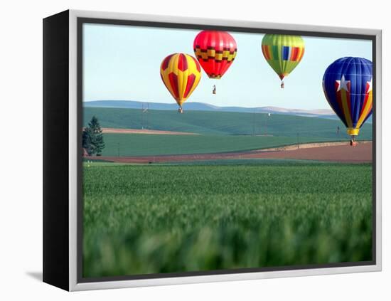 Colorful Hot Air Balloons Float over a Wheat Field in Walla Walla, Washington, USA-William Sutton-Framed Premier Image Canvas