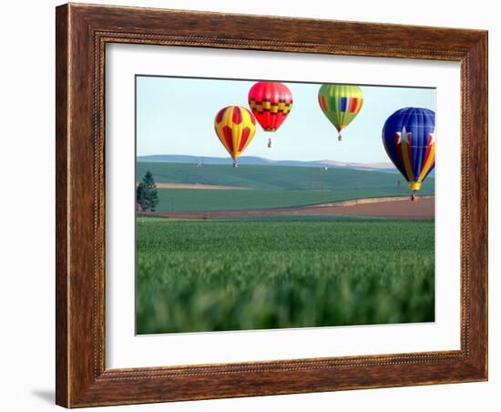 Colorful Hot Air Balloons Float over a Wheat Field in Walla Walla, Washington, USA-William Sutton-Framed Photographic Print