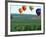 Colorful Hot Air Balloons Float over a Wheat Field in Walla Walla, Washington, USA-William Sutton-Framed Photographic Print