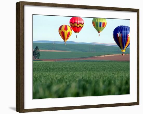 Colorful Hot Air Balloons Float over a Wheat Field in Walla Walla, Washington, USA-William Sutton-Framed Photographic Print