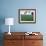 Colorful Hot Air Balloons Float over a Wheat Field in Walla Walla, Washington, USA-William Sutton-Framed Photographic Print displayed on a wall