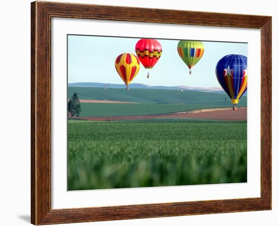 Colorful Hot Air Balloons Float over a Wheat Field in Walla Walla, Washington, USA-William Sutton-Framed Photographic Print