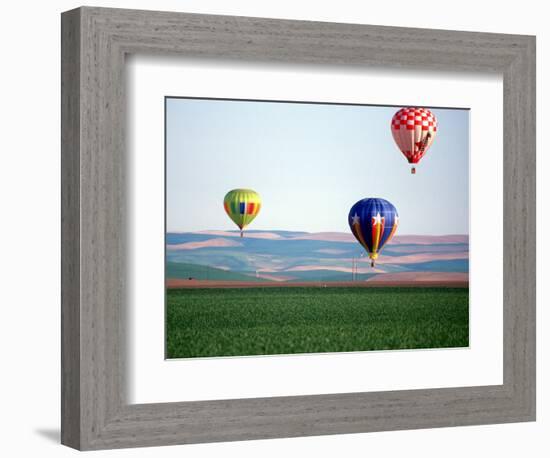 Colorful Hot Air Balloons Float over a Wheat Field in Walla Walla, Washington, USA-William Sutton-Framed Photographic Print