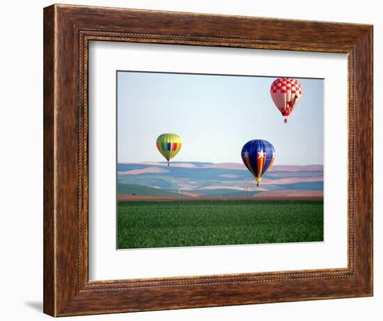 Colorful Hot Air Balloons Float over a Wheat Field in Walla Walla, Washington, USA-William Sutton-Framed Photographic Print