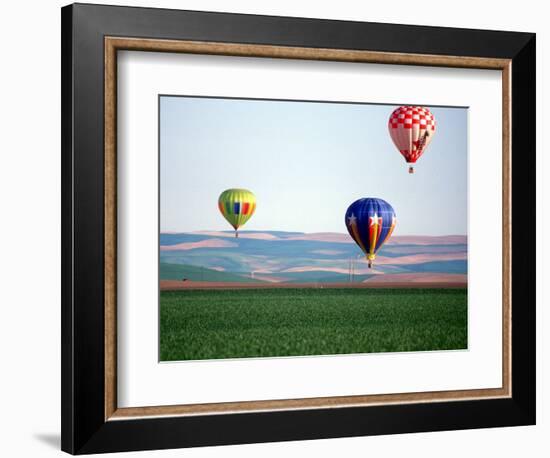 Colorful Hot Air Balloons Float over a Wheat Field in Walla Walla, Washington, USA-William Sutton-Framed Photographic Print