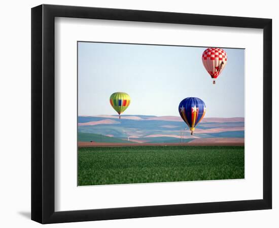 Colorful Hot Air Balloons Float over a Wheat Field in Walla Walla, Washington, USA-William Sutton-Framed Photographic Print