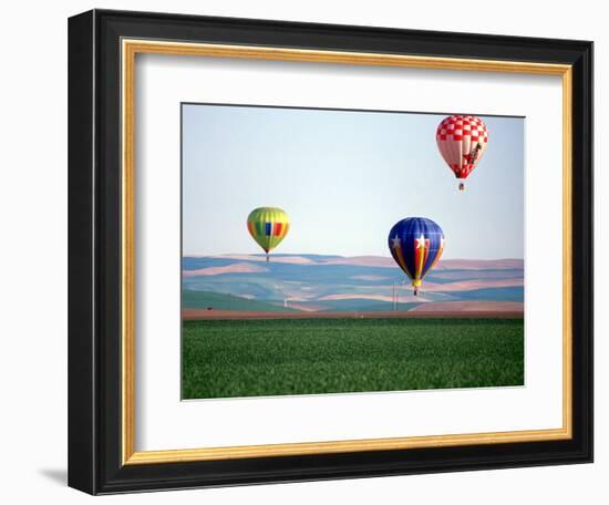 Colorful Hot Air Balloons Float over a Wheat Field in Walla Walla, Washington, USA-William Sutton-Framed Photographic Print