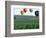 Colorful Hot Air Balloons Float over a Wheat Field in Walla Walla, Washington, USA-William Sutton-Framed Photographic Print