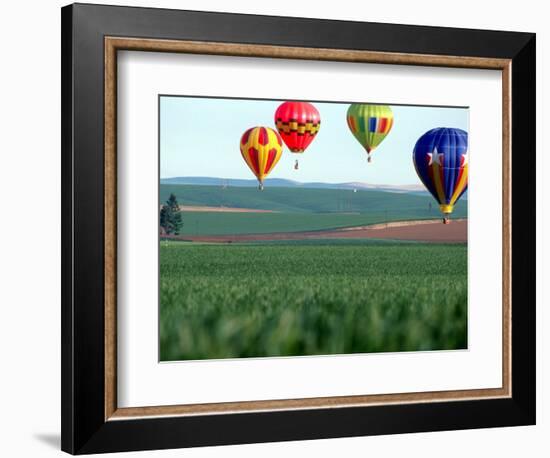 Colorful Hot Air Balloons Float over a Wheat Field in Walla Walla, Washington, USA-William Sutton-Framed Photographic Print