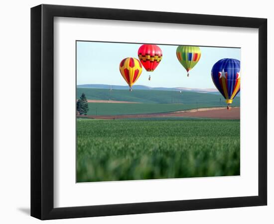 Colorful Hot Air Balloons Float over a Wheat Field in Walla Walla, Washington, USA-William Sutton-Framed Photographic Print