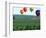 Colorful Hot Air Balloons Float over a Wheat Field in Walla Walla, Washington, USA-William Sutton-Framed Photographic Print