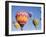 Colorful Hot Air Balloons in Sky, Albuquerque, New Mexico, USA-null-Framed Photographic Print