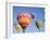 Colorful Hot Air Balloons in Sky, Albuquerque, New Mexico, USA-null-Framed Photographic Print