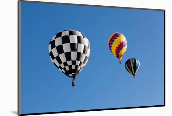 Colorful Hot Air Balloons on a Sunny Day-flippo-Mounted Photographic Print