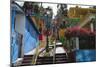 Colorful Houses, Gurabo, Puerto Rico-George Oze-Mounted Photographic Print