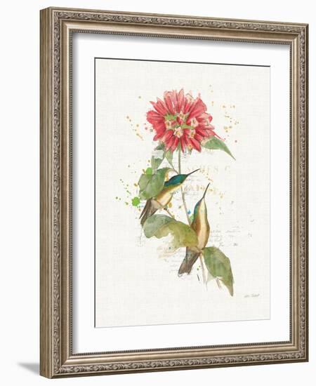 Colorful Hummingbirds I-Katie Pertiet-Framed Art Print