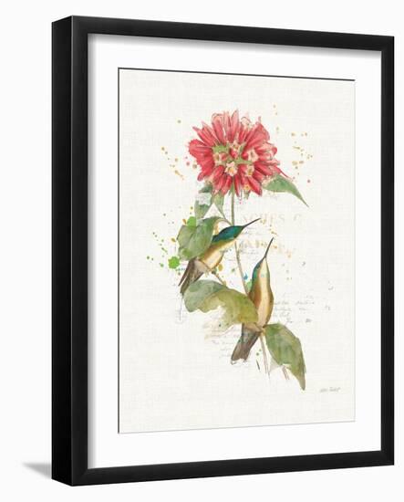 Colorful Hummingbirds I-Katie Pertiet-Framed Art Print