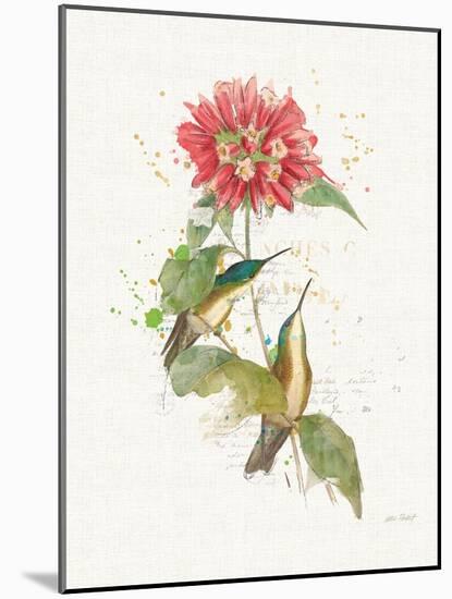 Colorful Hummingbirds I-Katie Pertiet-Mounted Art Print