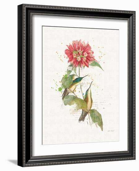 Colorful Hummingbirds I-Katie Pertiet-Framed Art Print