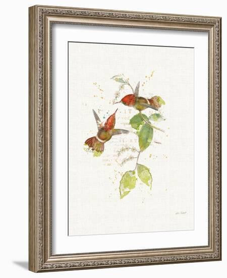 Colorful Hummingbirds II-Katie Pertiet-Framed Art Print