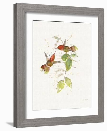 Colorful Hummingbirds II-Katie Pertiet-Framed Art Print