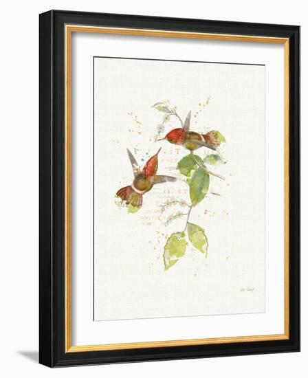 Colorful Hummingbirds II-Katie Pertiet-Framed Art Print