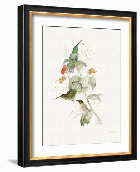 Colorful Hummingbirds III-Katie Pertiet-Framed Art Print