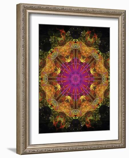 Colorful kaleidoscope.-Anna Miller-Framed Photographic Print