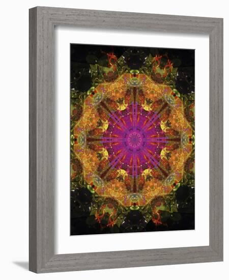 Colorful kaleidoscope.-Anna Miller-Framed Photographic Print