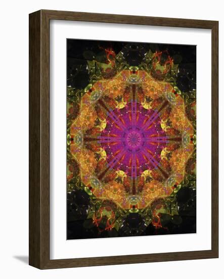 Colorful kaleidoscope.-Anna Miller-Framed Photographic Print