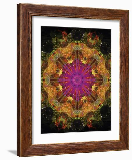 Colorful kaleidoscope.-Anna Miller-Framed Photographic Print