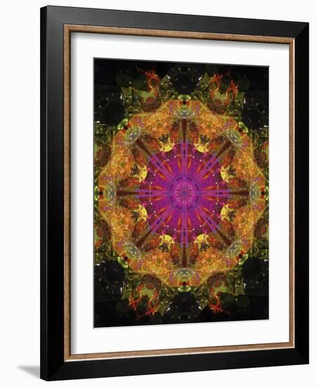 Colorful kaleidoscope.-Anna Miller-Framed Photographic Print