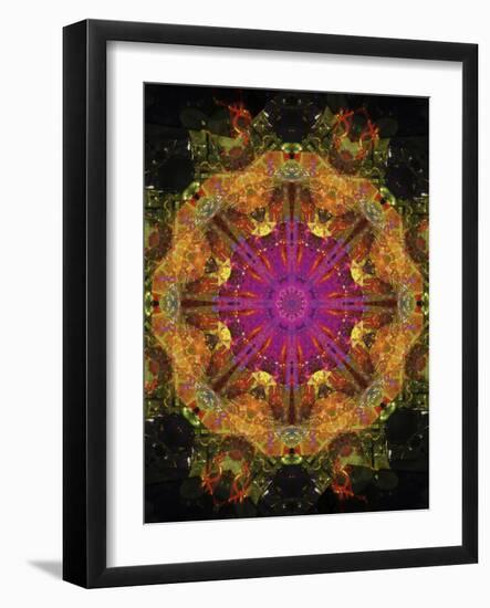 Colorful kaleidoscope.-Anna Miller-Framed Photographic Print