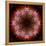 Colorful kaleidoscope.-Anna Miller-Framed Premier Image Canvas