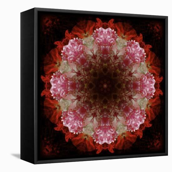 Colorful kaleidoscope.-Anna Miller-Framed Premier Image Canvas