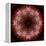 Colorful kaleidoscope.-Anna Miller-Framed Premier Image Canvas