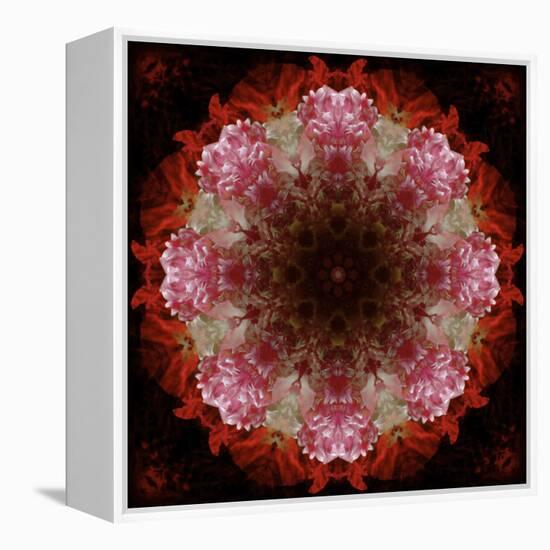 Colorful kaleidoscope.-Anna Miller-Framed Premier Image Canvas