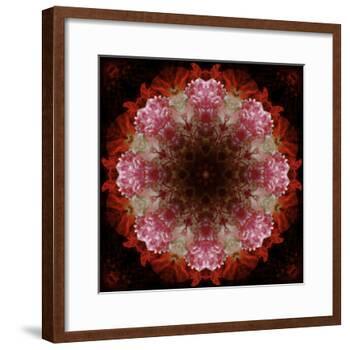 Colorful kaleidoscope.-Anna Miller-Framed Photographic Print
