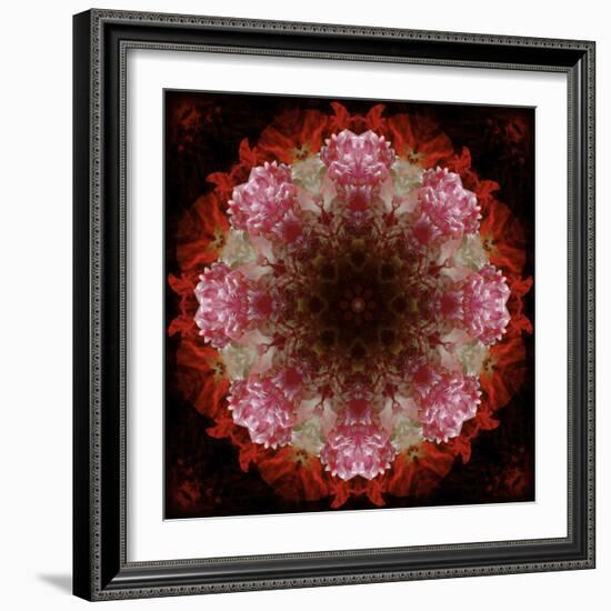 Colorful kaleidoscope.-Anna Miller-Framed Photographic Print