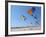 Colorful Kites Dot the Sky-null-Framed Photographic Print