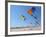 Colorful Kites Dot the Sky-null-Framed Photographic Print