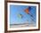 Colorful Kites Dot the Sky-null-Framed Photographic Print