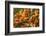 Colorful Koi or Carp Chinese Fish in Water-kenny001-Framed Photographic Print