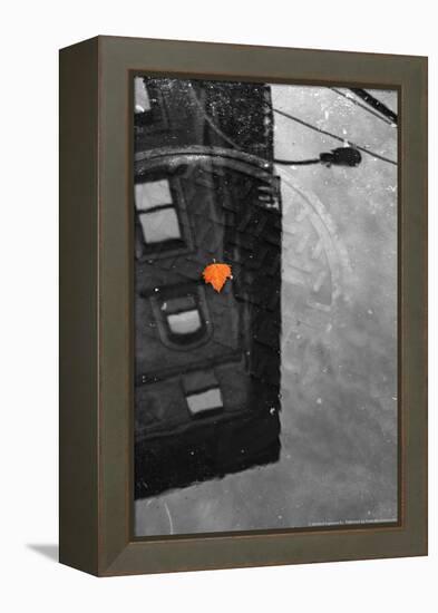 Colorful Leaf In B/W Reflection NYC-null-Framed Stretched Canvas