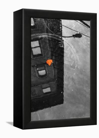 Colorful Leaf In B/W Reflection NYC-null-Framed Stretched Canvas