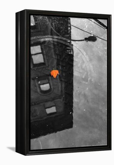 Colorful Leaf In B/W Reflection NYC-null-Framed Stretched Canvas