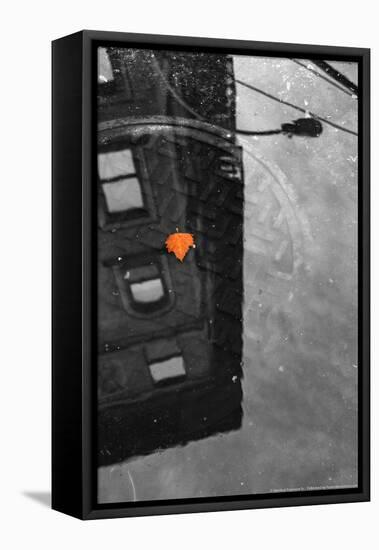 Colorful Leaf In B/W Reflection NYC-null-Framed Stretched Canvas