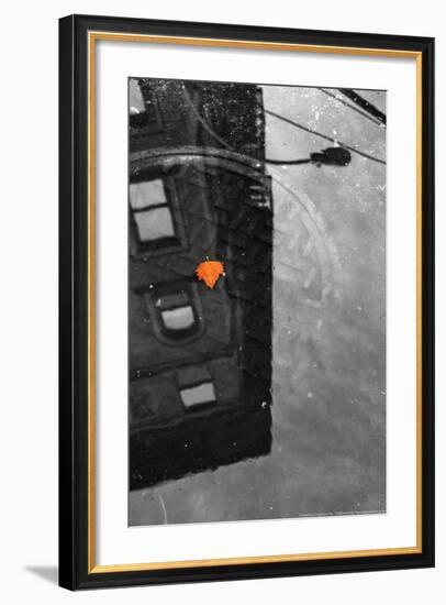 Colorful Leaf In B/W Reflection NYC-null-Framed Photo